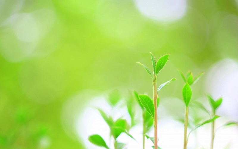 2020年40代女性の春夏ファッション・コーディネートと流行のプチプラ服をご紹介