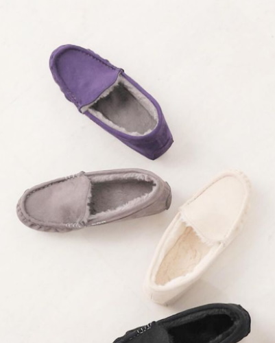 ブージュルード