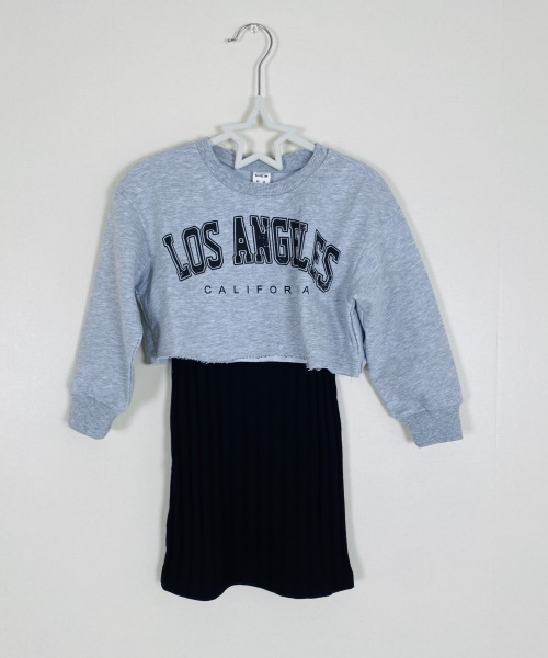 SHEIN 女の子幼児 文字グラフィック プルオーバー ＆ リブニット キャミドレス